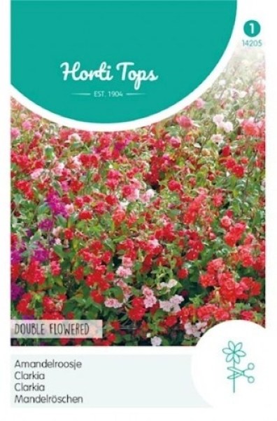 14205 clarika_500x500